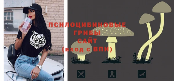 твердый Мегион