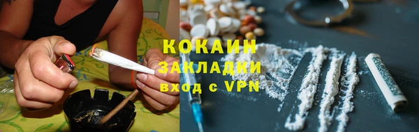 твердый Мегион