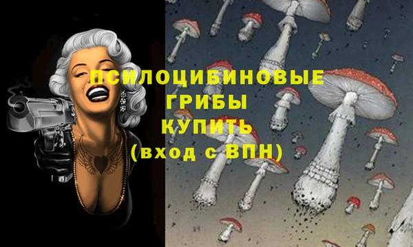 Альфа ПВП Медвежьегорск