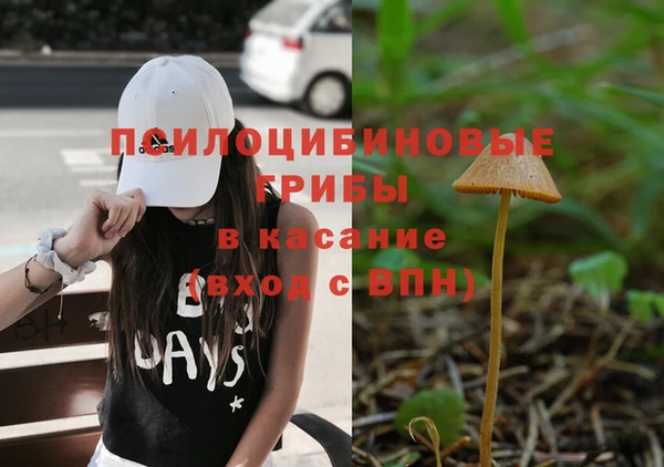 твердый Мегион