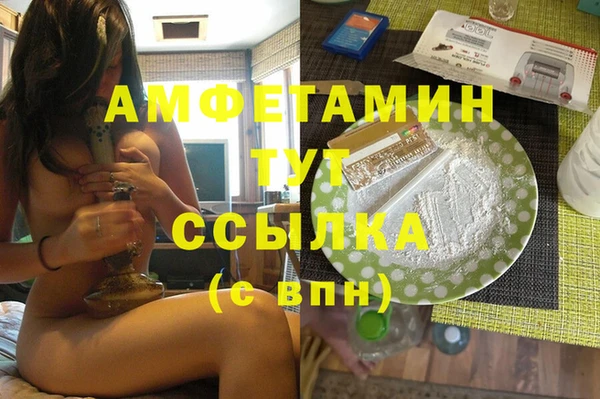 твердый Мегион