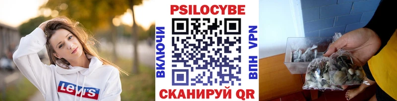 Псилоцибиновые грибы Psilocybine cubensis  что такое наркотик  Бабаево 